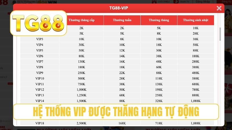 Hệ thống VIP được thăng hạng tự động