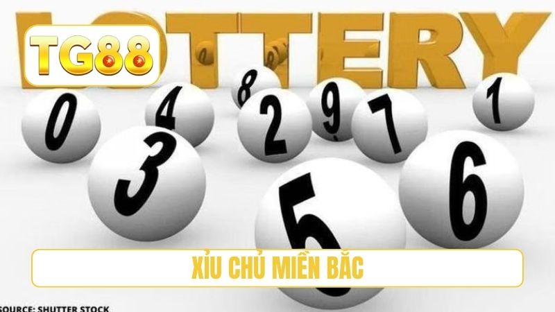 Xỉu Chủ Miền Bắc